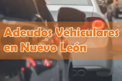 Adeudos vehciulares en Nuevo León, Refrendo y Tenencia