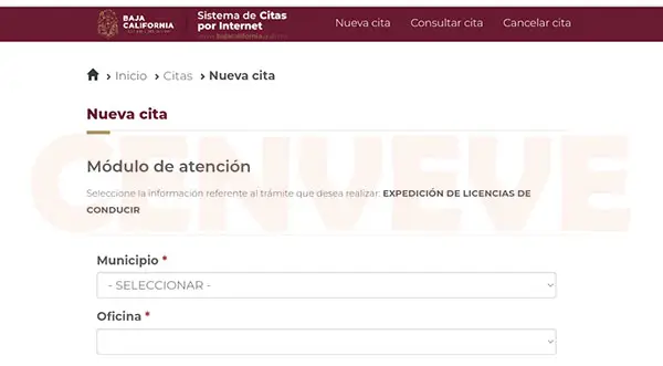 Agendar cita para sacar licencia de conducir en Rosarito