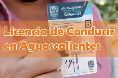 Licencia de Conducir Aguascalientes