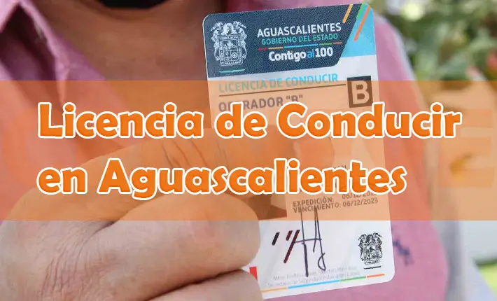 Licencia de Conducir Aguascalientes