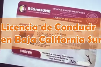 Licencia de Conducir en Baja California Sur