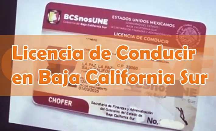 Licencia de Conducir en Baja California Sur