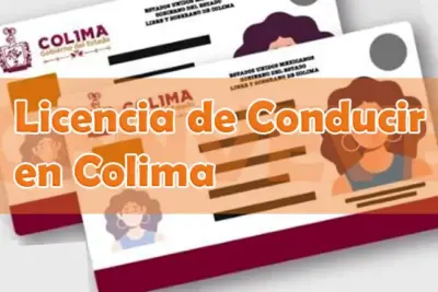 Sacar Licencia de Conducir en Colima