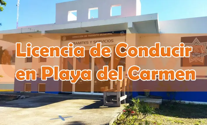 Sacar Licencia de Conducir Playa del Carmen Quintana Roo