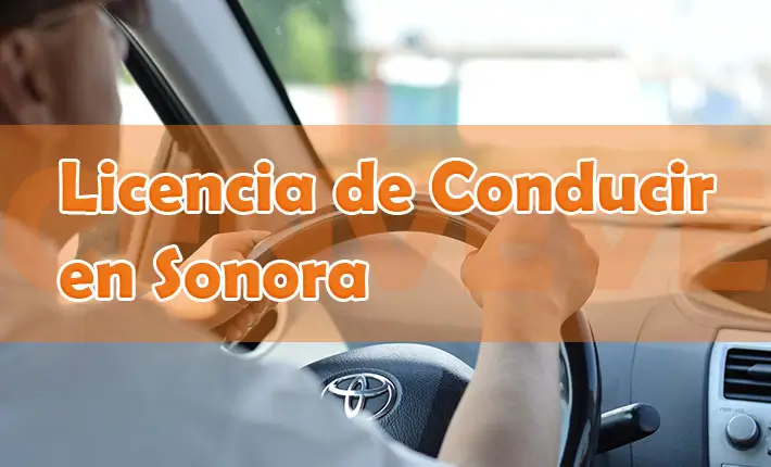 Licencia de conducir Sonora primera vez