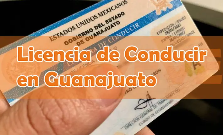 licencia de conducir.guanajuato.gob.mx