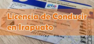 Licencia de COnducir Irapuato (Guanajuato)