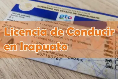 Licencia de COnducir Irapuato (Guanajuato)