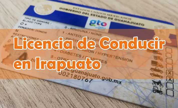 Licencia de COnducir Irapuato (Guanajuato)