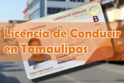 Licencia de Conducir Permanente Tamaulipas