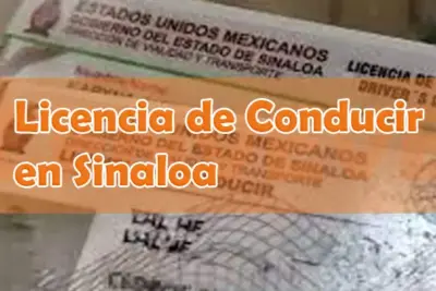 Obtener licencia de conducir en Sinaloa