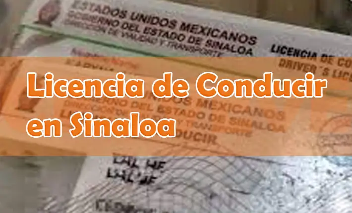 Obtener licencia de conducir en Sinaloa