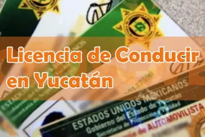 Obtener licencia de conducir en Yucatán