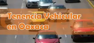 Tenencia vehicular Oaxaca